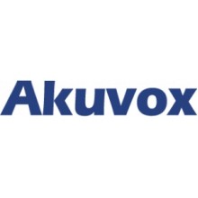 IP монитор (интерком-панель) Akuvox C313W_V2