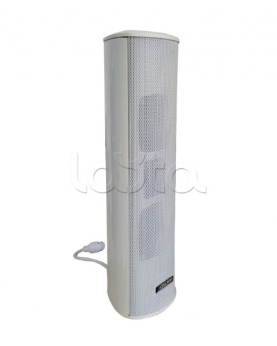 Громкоговоритель DSPPA POE-255 в Пятигорске Система оповещения и трансляции Dsppa Pintop.ru