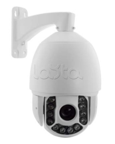 IP-камера видеонаблюдения купольная EverFocus ACE-ATE2033 в Пятигорске IP-камеры Pintop.ru