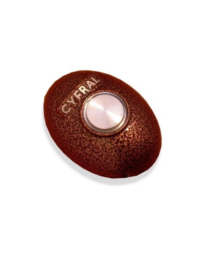 Кнопка открывания двери Цифрал КОДсП-4 в Пятигорске Многоабонентные устройства Pintop.ru