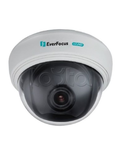 AHD-камера видеонаблюдения купольная EverFocus ED-910F в Пятигорске Аналоговые камеры Pintop.ru