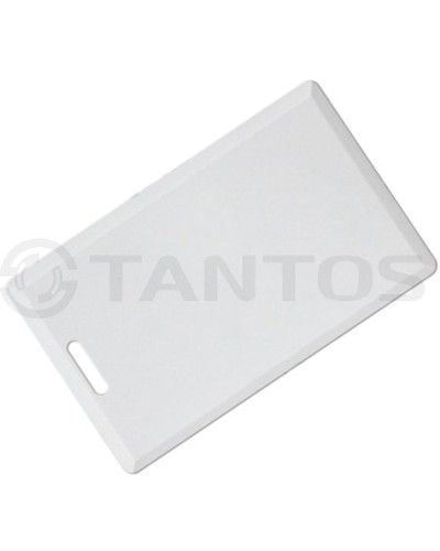 Карта толстая формата Temic Tantos Temic (толстая) TS в Пятигорске Оптовые идентификаторы Pintop.ru