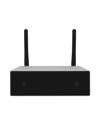 Усилитель потоковой передачи WIFI DSPPA DW-0250 в Пятигорске Система оповещения и трансляции Dsppa Pintop.ru