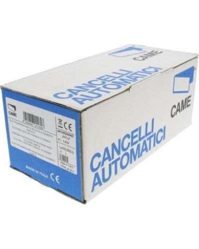 Вал CAT-I Came 119RIX020 в Пятигорске Запчасти для шлагбаумов и автоматики Pintop.ru