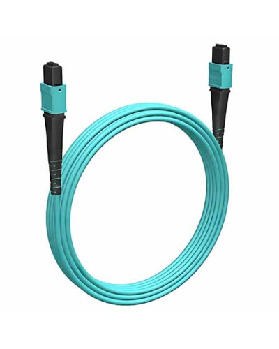 Кабельная сборка MPO(F) -MPO(F)-12 волокон 50/125 OM3, 1 m Cabeus (FOP-50-OM3-12-MPO(F)-12-MPO(F)-B-1m) в Пятигорске Кабельные сборки (оптические) Pintop.ru