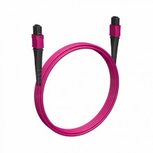 Кабельная сборка MPO(F) -MPO(F)-12 волокон 50/125 OM4, 10 m Cabeus (FOP-50-OM4-12-MPO(F)-12-MPO(F)-B-10m)