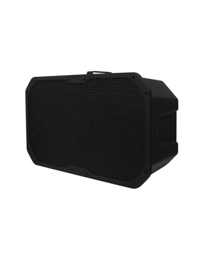 Акустическое устройство DSPPA LRAS-1830 в Пятигорске Система оповещения и трансляции Dsppa Pintop.ru