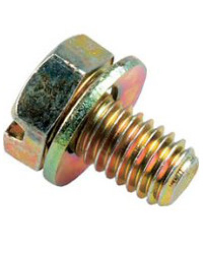 Винт с шайбой М6х10мм TH Legrand 036775 в Пятигорске Крепеж Pintop.ru