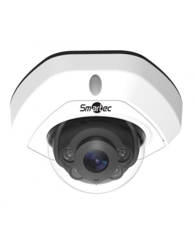 IP-видеокамера Smartec STC-IPM3407A/4 rev.3 Estima в Пятигорске IP-камеры Pintop.ru