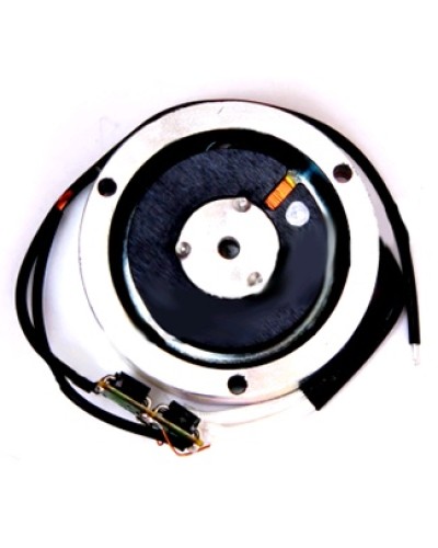 Электромагнит BY1500T Came 119RIY034 в Пятигорске Запчасти для шлагбаумов и автоматики Pintop.ru