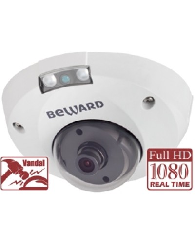 IP-камера видеонаблюдения купольная Beward NK55630D8 (2.8 мм) в Пятигорске IP-камеры Pintop.ru
