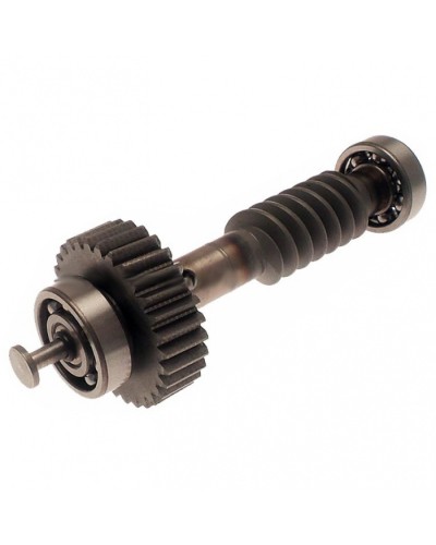 Червяк редуктора FAST в сборе Came 119RID228 в Пятигорске Запчасти для шлагбаумов и автоматики Pintop.ru