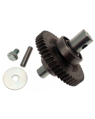 Шестерня редуктора FAST в сборе Came 119RID229 в Пятигорске Запчасти для шлагбаумов и автоматики Pintop.ru