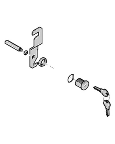 Замок дверцы G4040 G4041 Came 119RIG176 в Пятигорске Запчасти для шлагбаумов и автоматики Pintop.ru