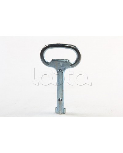 Металлический ключ с двойной бородкой 3мм DKC R5CE230 в Пятигорске Крепежные изделия Pintop.ru