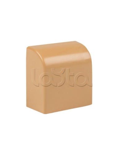 Заглушка (25х16) (4 шт) светлое дерево EKF-Plast (ecl-25-16x4) в Пятигорске Аксессуары для кабель-канала Pintop.ru