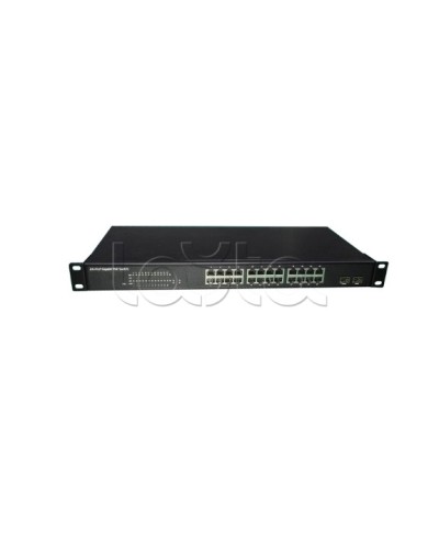 PoE-Коммутатор EverFocus ACE-224PG в Пятигорске Коммутаторы Pintop.ru