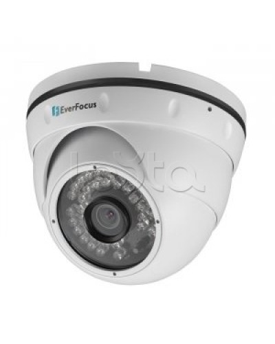 IP-камера видеонаблюдения купольная EverFocus ACE-IAV30 в Пятигорске IP-камеры Pintop.ru
