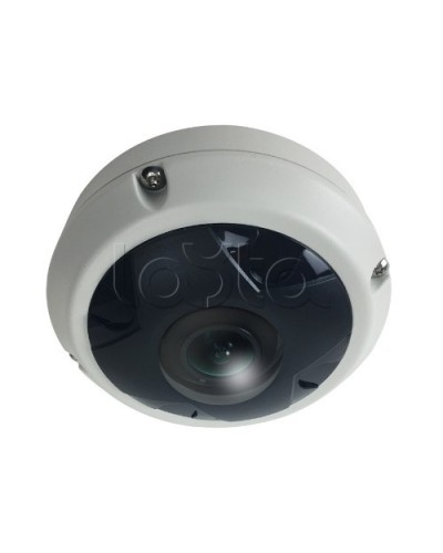 IP-камера видеонаблюдения купольная EverFocus ACE-KU89F в Пятигорске IP-камеры Pintop.ru