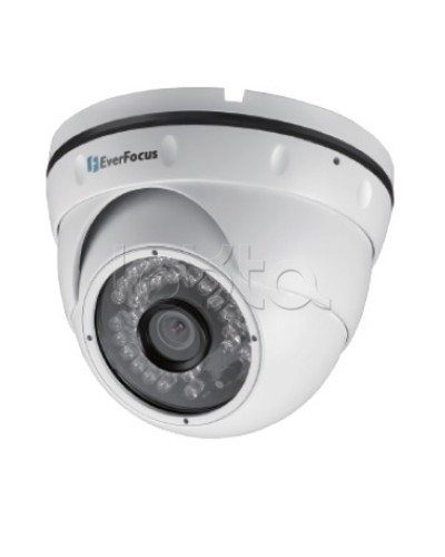 IP-камера видеонаблюдения уличная купольная EverFocus EBN-268 в Пятигорске IP-камеры Pintop.ru