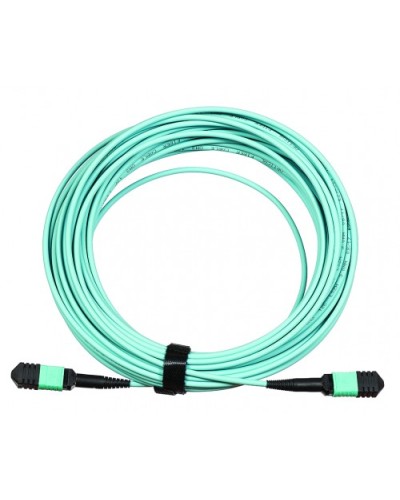 Сборка кабельная LANMASTER (LAN-12M-12M/OM3B-1.0) в Пятигорске Коннекторы Pintop.ru