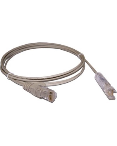Патч-корд 110 тип - RJ45, 1 пара, UTP, 2 м LANMASTER LAN-45-P1-2m в Пятигорске Патч-корды и пигтейлы Pintop.ru