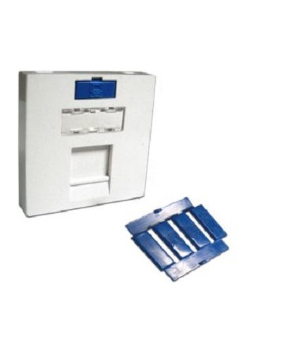 Вставка 45x45 на 1 кейстоун, угловая, со шторкой, маркировкой и иконками, белая LANMASTER LAN-SIP-23A-WH в Пятигорске Аксессуары для кабель-канала Pintop.ru