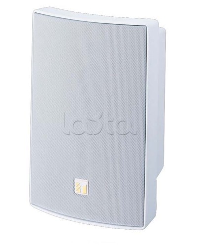 Громкоговоритель универсальный двухполосный TOA BS-1030W в Пятигорске Системы оповещения и трансляции TOA Pintop.ru