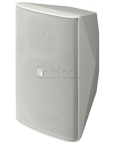 Громкоговоритель 2 полосный TOA F-2000 WT в Пятигорске Системы оповещения и трансляции TOA Pintop.ru