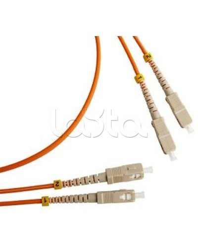 Патч-корд оптический TWT-2ST-2LC/SAU-0.5 в Пятигорске Патч-корды оптические Pintop.ru