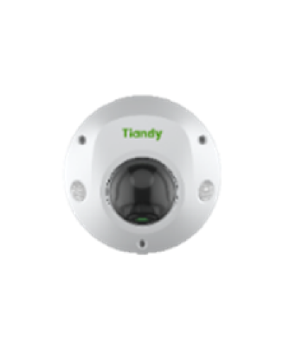 Купольная IP-камера Tiandy TC-C32PS Spec:I3/E/Y/M/H/4mm/V4.2 в Пятигорске IP-камеры Pintop.ru