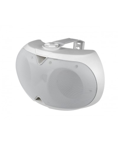 Громкоговоритель настенный 2-х полосный VOLTA ELLIPSE-2440TW в Пятигорске Система оповещения и трансляции Volta Pintop.ru