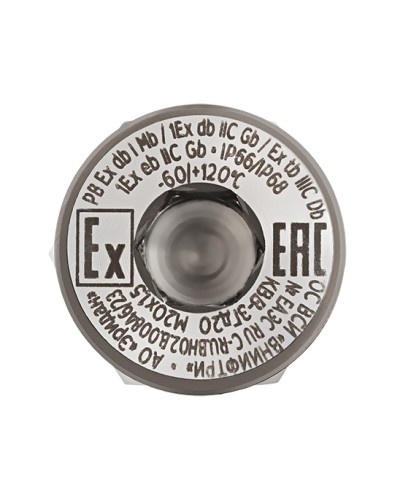 Оконечная заглушка Эридан КВВ-ЗГд20-Н в Пятигорске Дополнительное оборудование (Ex) Pintop.ru