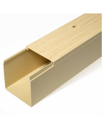 Кабель-канал сосна 2-й замок в п/э 60х60 (12 м/уп) Промрукав (PR03.0188) в Пятигорске Кабель-канал Pintop.ru