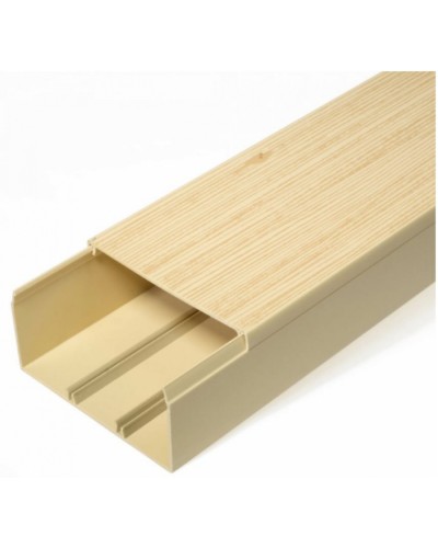 Кабель-канал сосна 2-й замок в п/э 100х60 (8 м/уп) Промрукав (PR03.0192) в Пятигорске Кабель-канал Pintop.ru