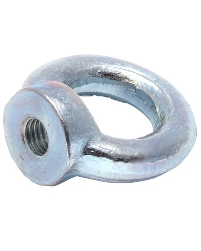 Рым-гайка М10 DIN 582 (50 шт/уп) Промрукав (PR08.3905) в Пятигорске Крепеж Pintop.ru