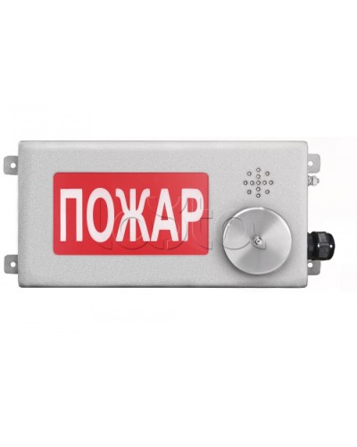 Табло светозвуковое взрывозащищенное Спектрон ТСЗВ-Exi-Н-Прометей-МИНИ 12-36В в Пятигорске Оповещатели Ex Pintop.ru