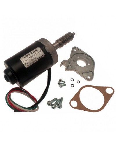 Электродвигатель BX-243 в сборе Came 119RIBX046 в Пятигорске Запчасти для шлагбаумов и автоматики Pintop.ru