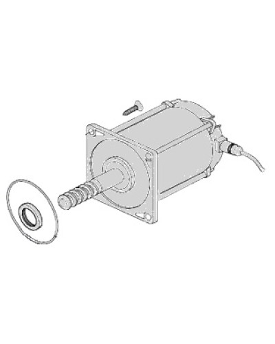 Электродвигатель Came 119RIA025 в Пятигорске Запчасти для шлагбаумов и автоматики Pintop.ru
